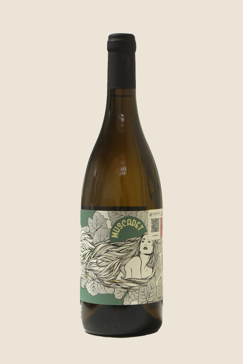 Domaine du Moulin Camus La Muse Muscadet Sèvre et Maine Sur Lie