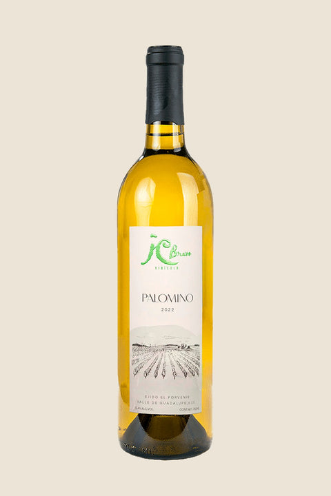 JC Bravo Palomino