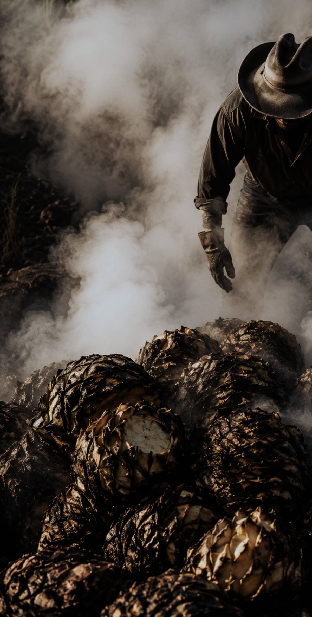 Agave cocido en horno de tierra, entre humo